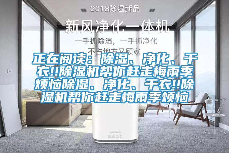正在閱讀：除濕、凈化、干衣!!除濕機幫你趕走梅雨季煩惱除濕、凈化、干衣!!除濕機幫你趕走梅雨季煩惱