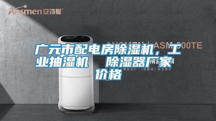廣元市配電房除濕機(jī)，工業(yè)抽濕機(jī)  除濕器廠家 價(jià)格
