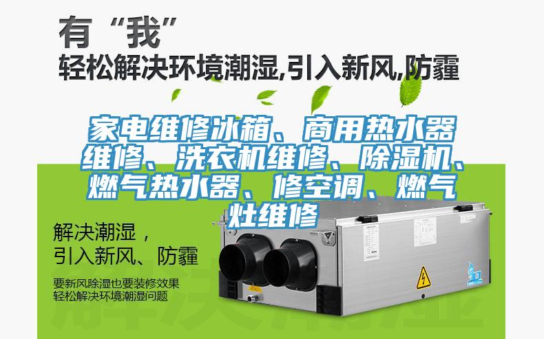 家電維修冰箱、商用熱水器維修、洗衣機(jī)維修、除濕機(jī)、燃?xì)鉄崴?、修空調(diào)、燃?xì)庠罹S修
