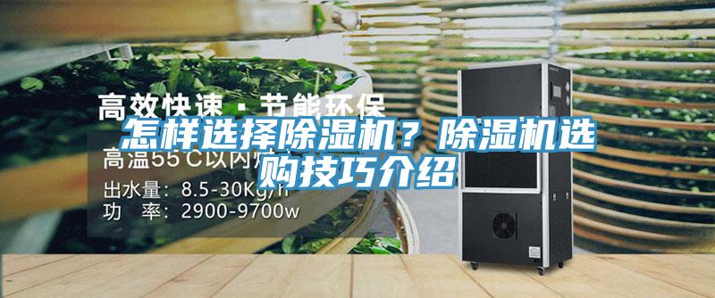 怎樣選擇除濕機？除濕機選購技巧介紹