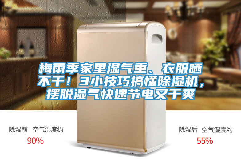 梅雨季家里濕氣重、衣服曬不干！3小技巧搞懂除濕機，擺脫濕氣快速節(jié)電又干爽