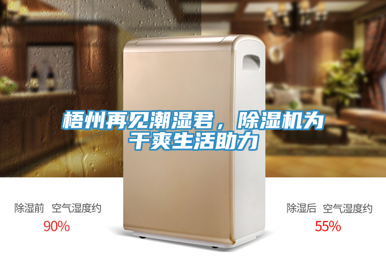 梧州再見潮濕君，除濕機(jī)為干爽生活助力