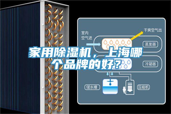 家用除濕機，上海哪個品牌的好？