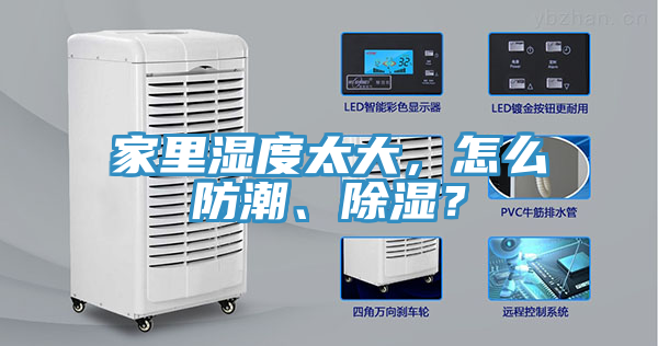 家里濕度太大，怎么防潮、除濕？