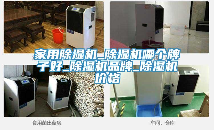 家用除濕機(jī)_除濕機(jī)哪個牌子好_除濕機(jī)品牌_除濕機(jī)價格