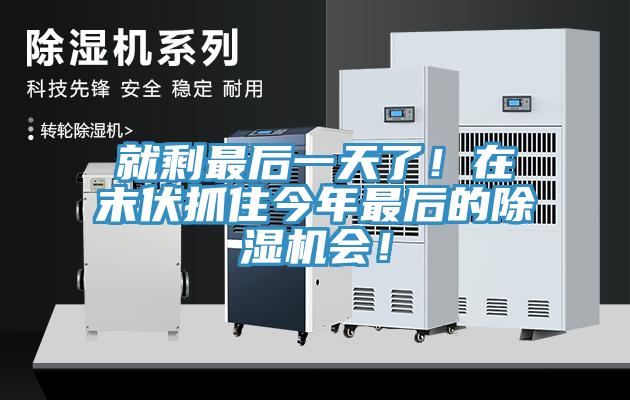 就剩最后一天了！在末伏抓住今年最后的除濕機(jī)會(huì)！