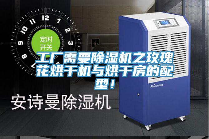 工廠需要除濕機之玫瑰花烘干機與烘干房的配型！