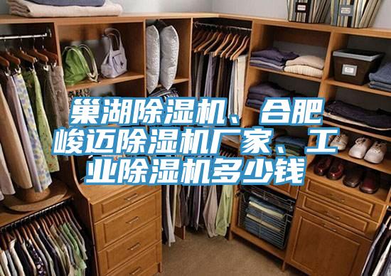 巢湖除濕機(jī)、合肥峻邁除濕機(jī)廠家、工業(yè)除濕機(jī)多少錢