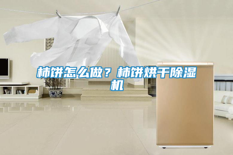 柿餅怎么做？柿餅烘干除濕機