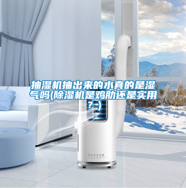 抽濕機抽出來的水真的是濕氣嗎(除濕機是雞肋還是實用？)