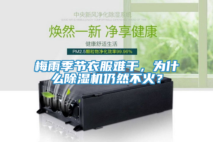 梅雨季節(jié)衣服難干，為什么除濕機(jī)仍然不火？
