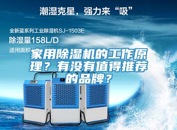 家用除濕機的工作原理？有沒有值得推薦的品牌？