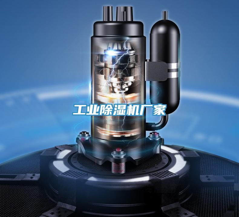 工業(yè)除濕機(jī)廠(chǎng)家