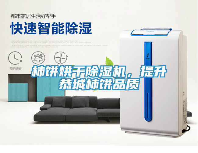 柿餅烘干除濕機，提升恭城柿餅品質(zhì)