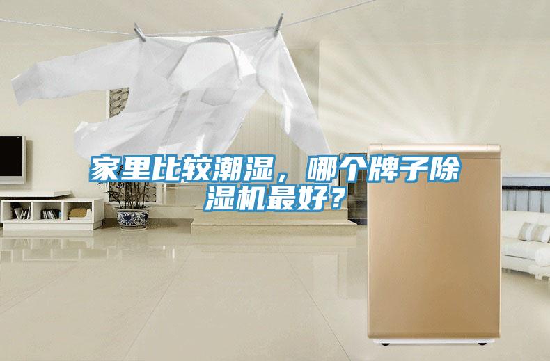 家里比較潮濕，哪個(gè)牌子除濕機(jī)最好？