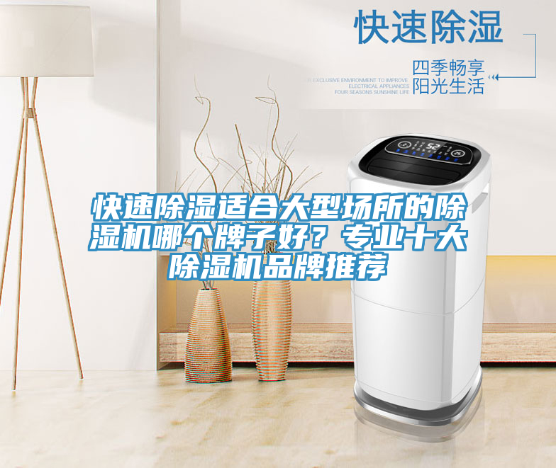快速除濕適合大型場所的除濕機哪個牌子好？專業(yè)十大除濕機品牌推薦