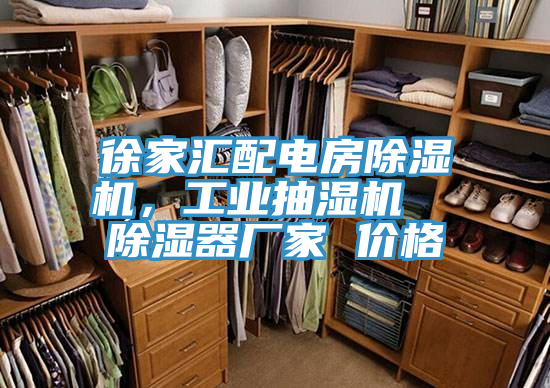 徐家匯配電房除濕機(jī)，工業(yè)抽濕機(jī)  除濕器廠家 價(jià)格