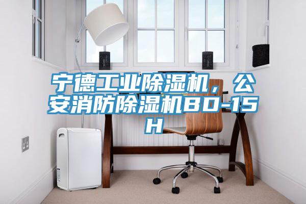 寧德工業(yè)除濕機(jī)，公安消防除濕機(jī)BD-15H