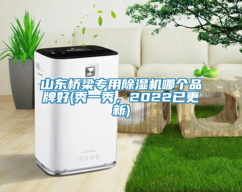 山東橋梁專用除濕機(jī)哪個品牌好(秀一秀，2022已更新)