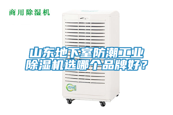 山東地下室防潮工業(yè)除濕機(jī)選哪個(gè)品牌好？