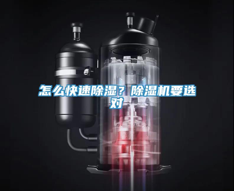怎么快速除濕？除濕機(jī)要選對
