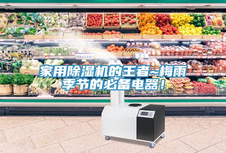 家用除濕機(jī)的王者~梅雨季節(jié)的必備電器！