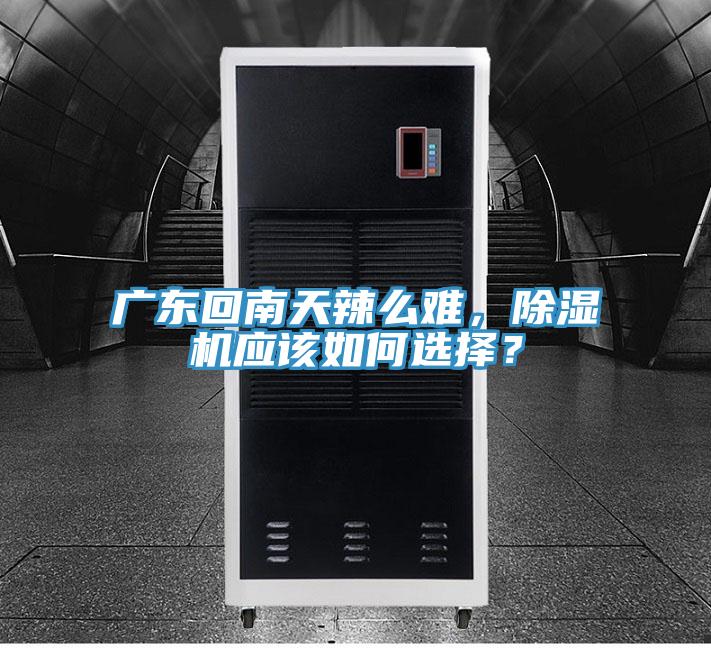 廣東回南天辣么難，除濕機(jī)應(yīng)該如何選擇？