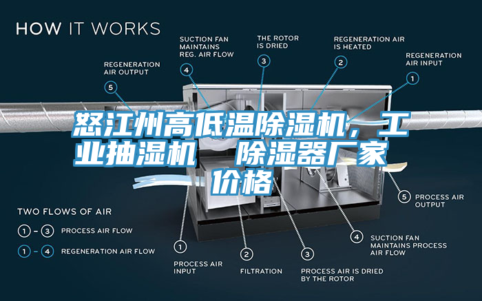 怒江州高低溫除濕機(jī)，工業(yè)抽濕機(jī)  除濕器廠家 價(jià)格