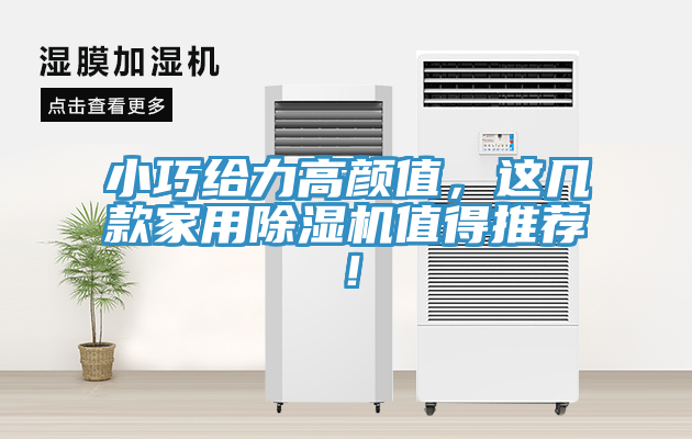 小巧給力高顏值，這幾款家用除濕機值得推薦！