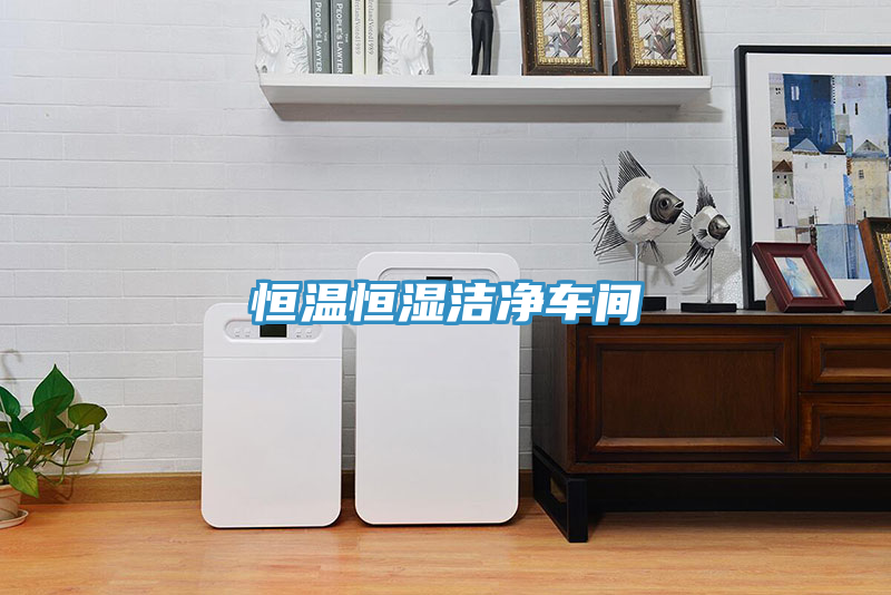 恒溫恒濕潔凈車(chē)間