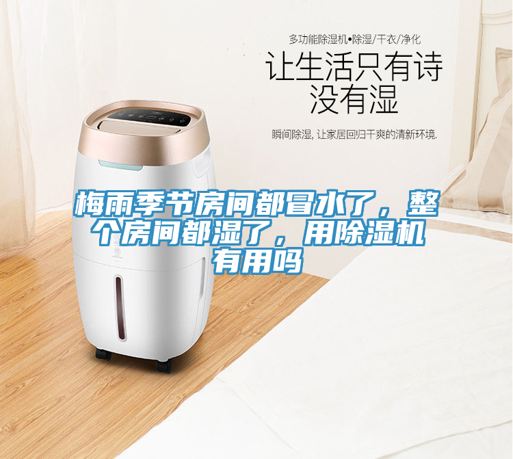 梅雨季節(jié)房間都冒水了，整個房間都濕了，用除濕機有用嗎