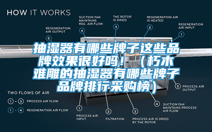 抽濕器有哪些牌子這些品牌效果很好嗎?。ㄐ嗄倦y雕的抽濕器有哪些牌子品牌排行采購榜）