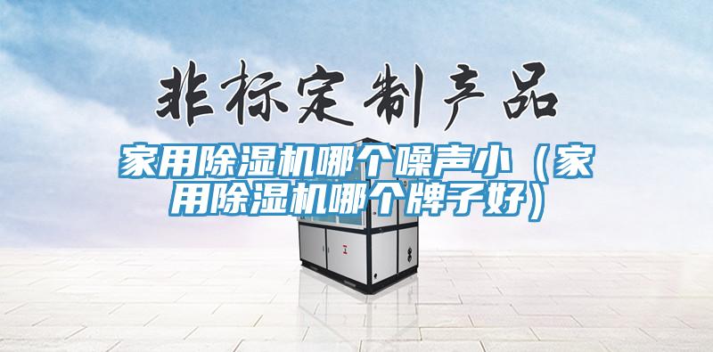 家用除濕機(jī)哪個(gè)噪聲?。矣贸凉駲C(jī)哪個(gè)牌子好）