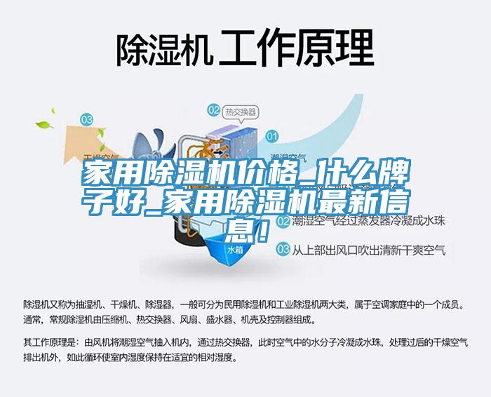 家用除濕機(jī)價(jià)格_什么牌子好_家用除濕機(jī)最新信息！