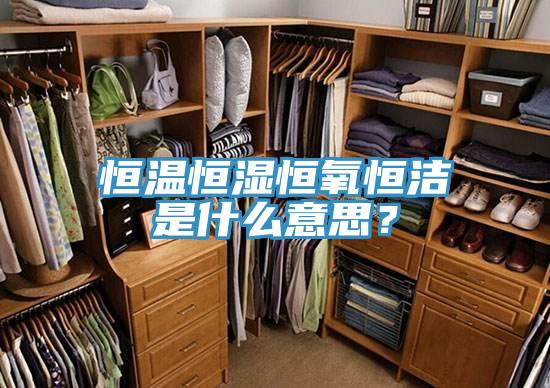 恒溫恒濕恒氧恒潔是什么意思？