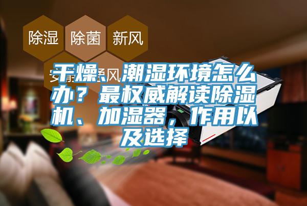 干燥、潮濕環(huán)境怎么辦？最權(quán)威解讀除濕機(jī)、加濕器，作用以及選擇