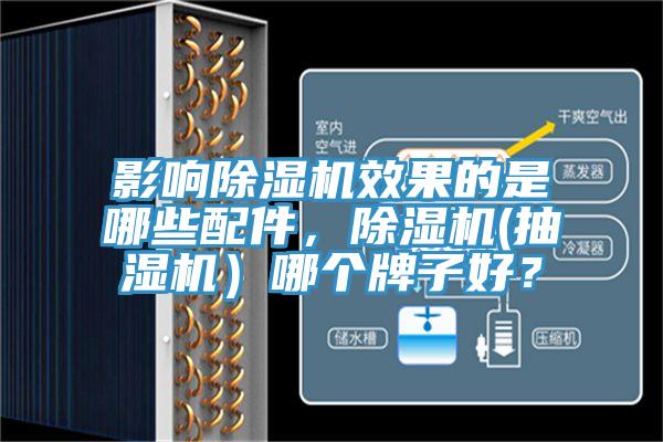 影響除濕機(jī)效果的是哪些配件，除濕機(jī)(抽濕機(jī)）哪個牌子好？