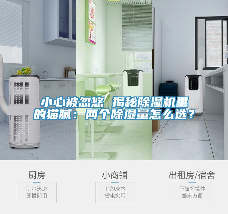 小心被忽悠 揭秘除濕機(jī)里的貓膩：兩個(gè)除濕量怎么選？