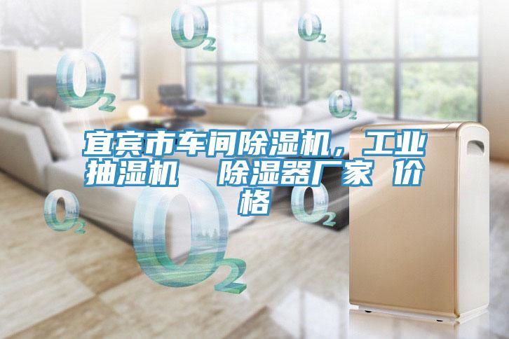宜賓市車間除濕機，工業(yè)抽濕機  除濕器廠家 價格