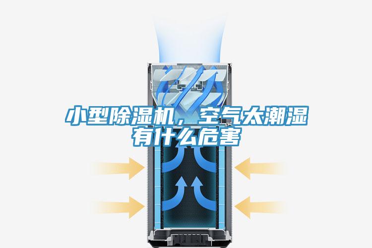 小型除濕機(jī)，空氣太潮濕有什么危害