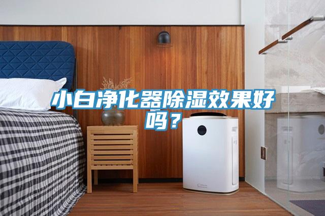 小白凈化器除濕效果好嗎？