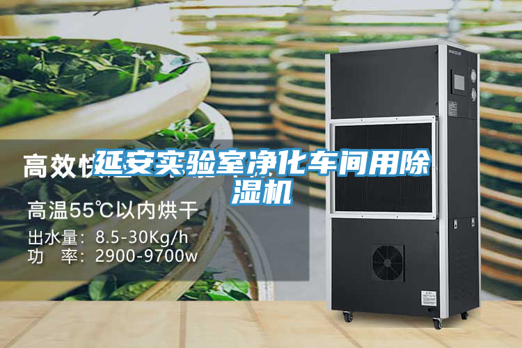延安實(shí)驗(yàn)室凈化車(chē)間用除濕機(jī)