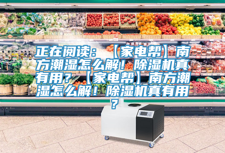 正在閱讀：【家電幫】南方潮濕怎么解！除濕機真有用？【家電幫】南方潮濕怎么解！除濕機真有用？