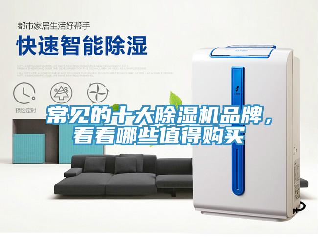常見的十大除濕機(jī)品牌，看看哪些值得購(gòu)買