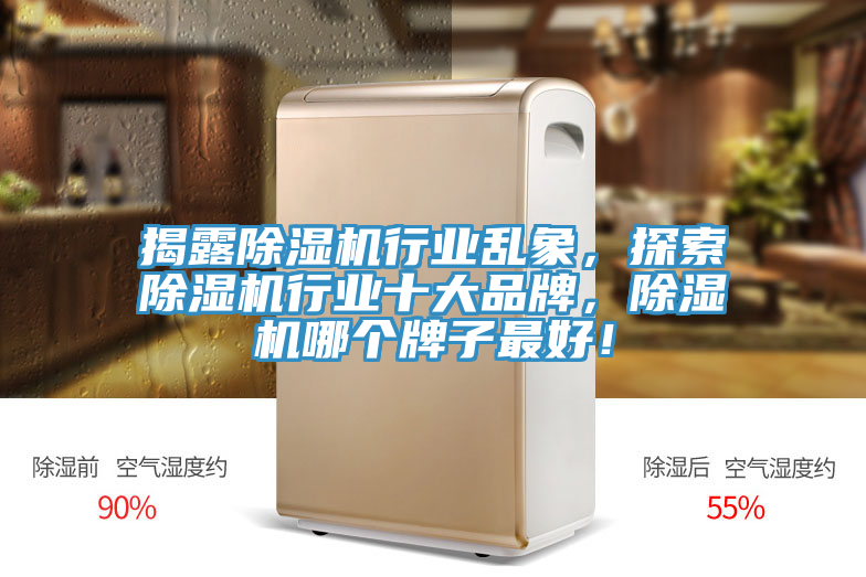 揭露除濕機(jī)行業(yè)亂象，探索除濕機(jī)行業(yè)十大品牌，除濕機(jī)哪個(gè)牌子最好！