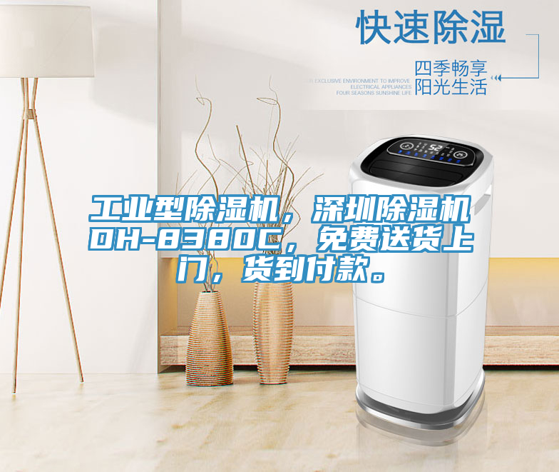 工業(yè)型除濕機(jī)，深圳除濕機(jī)DH-8380C，免費(fèi)送貨上門，貨到付款。