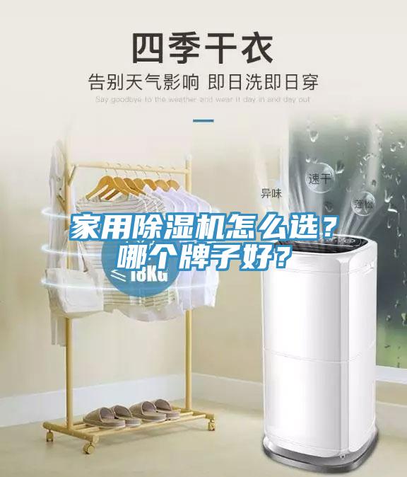 家用除濕機(jī)怎么選？哪個(gè)牌子好？