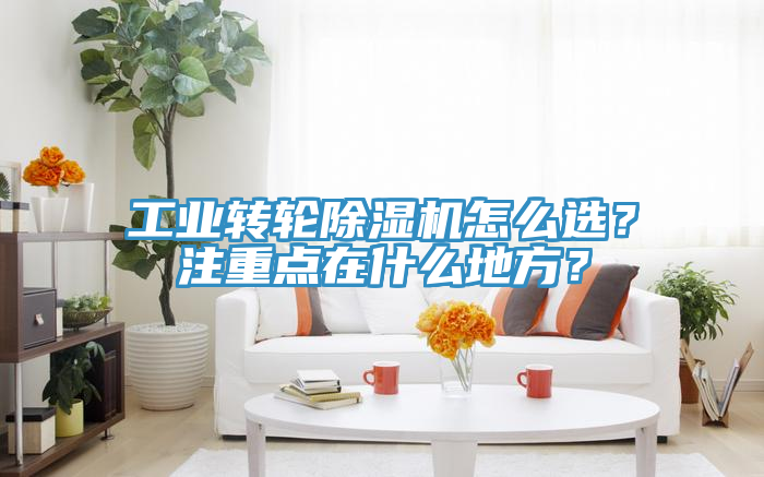 工業(yè)轉(zhuǎn)輪除濕機怎么選？注重點在什么地方？
