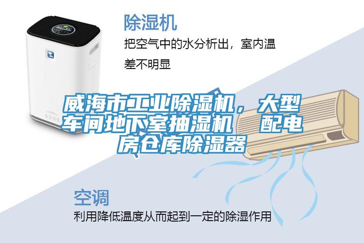 威海市工業(yè)除濕機(jī)，大型車間地下室抽濕機(jī)  配電房倉(cāng)庫(kù)除濕器