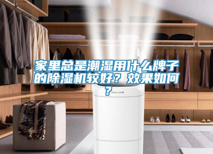 家里總是潮濕用什么牌子的除濕機(jī)較好？效果如何？